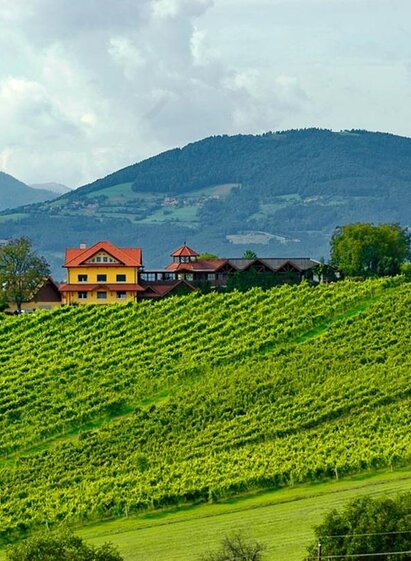 Buschenschank Burger_outside_eastern_styria | © Familie Burger