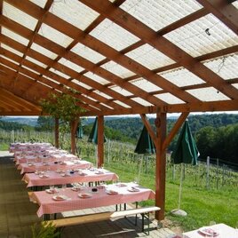 Buschenschank Christiner1