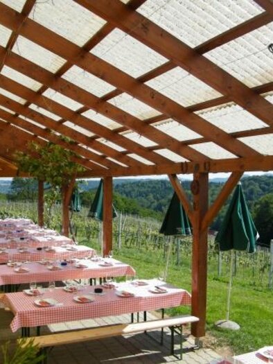 Buschenschank Christiner1