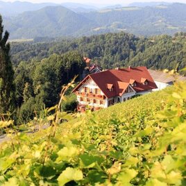 Das Weingut
