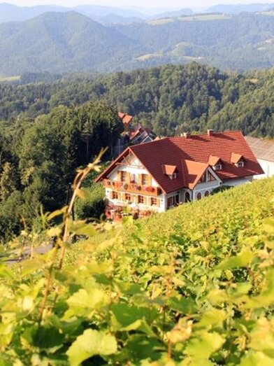 Das Weingut