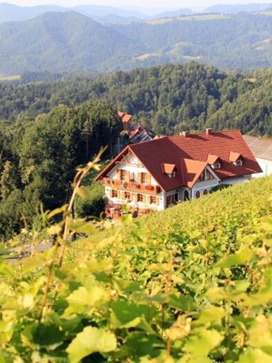 Das Weingut