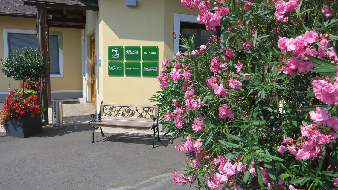 Ein einladender Eingangsbereich mit bunten Blumen und einer Parkbank. Im Hintergrund ist ein Gebäude mit Schildern sichtbar. | © Stefan Gründl | Weingut Gründl