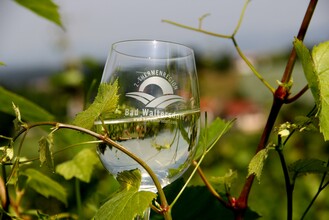 Wine glas | © Thermen- und Vulkanland