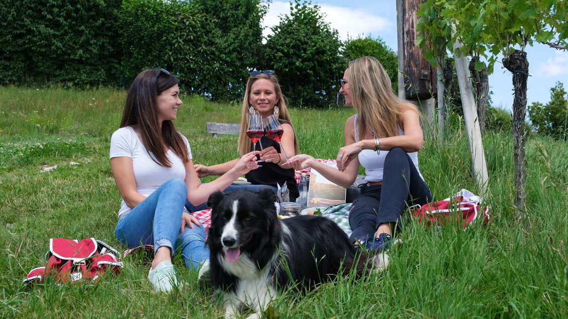 Drei Frauen genießen ein Picknick auf einer Wiese mit einem Hund. Im Hintergrund sind grüne Pflanzen und ein blauer Himmel zu sehen. | © Schilcherland Steiermark