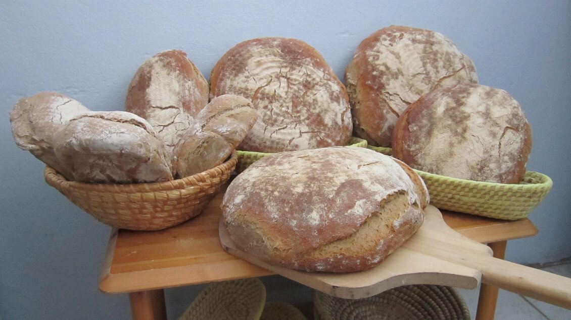 Mehrere frisch gebackene Brote liegen auf einem Tisch in Körben. Die Brote haben eine rustikale Kruste und sind unterschiedlich groß. | © Weingut Holler