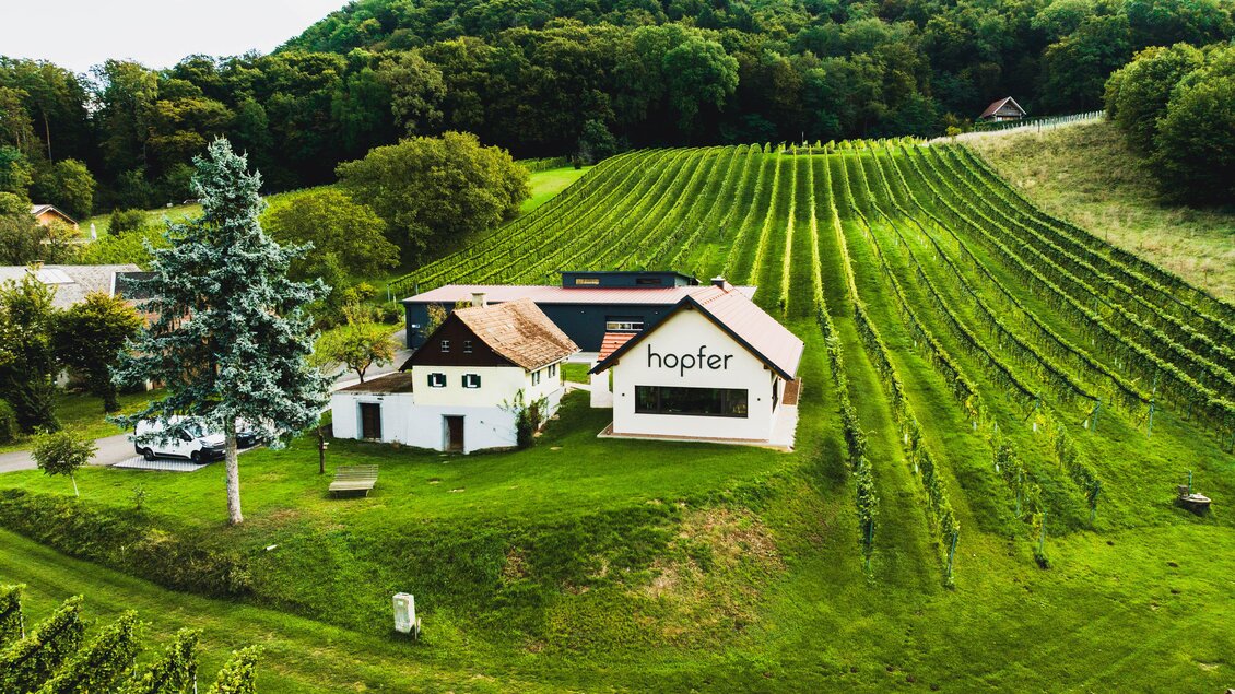 Ein schönes Weingut mit modernen Gebäuden im Vordergrund. Im Hintergrund erstrecken sich grüne Weinreben auf sanften Hügeln.