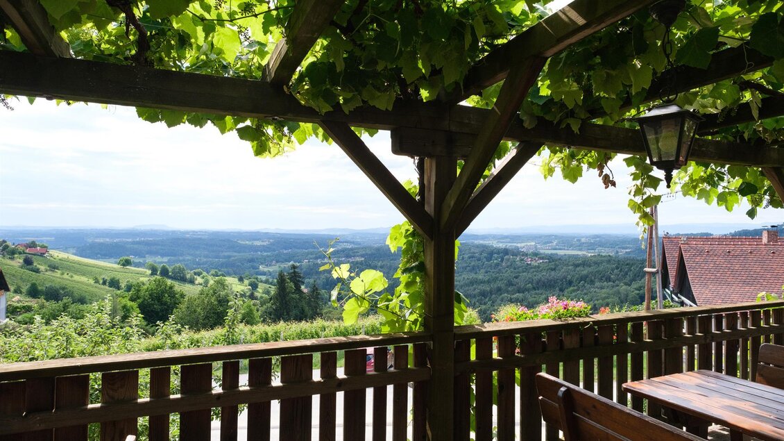 Ein schöner Ausblick von einer Terrasse mit Weinreben über eine malerische Landschaft. Im Hintergrund sind sanfte Hügel und ein klarer Himmel zu sehen. | © Schilcherland Steiermark