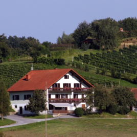 Buschenschank | © © Kurven Fritz