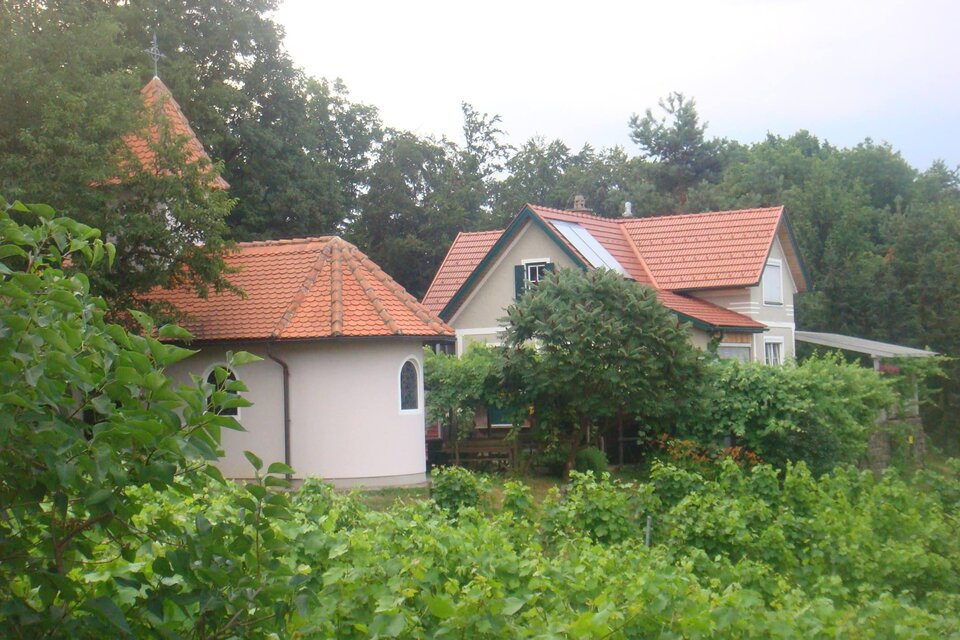 Weinbau Neubauer in Straden - Impression #1 | © Weinbau Neubauer am Rosenberg