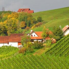 Skringer Ranz (1) | © Josef Skringer | Weingut Skringer
