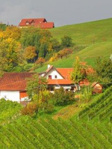 Skringer Ranz (1) | © Josef Skringer | Weingut Skringer | © Josef Skringer | Weingut Skringer