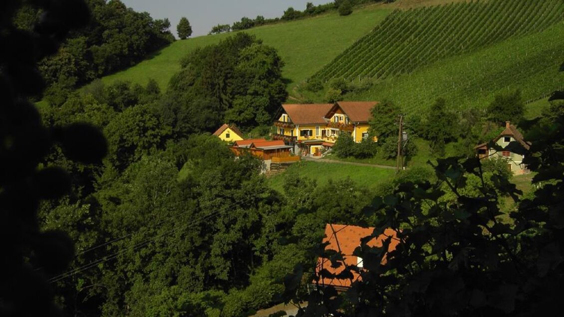 Ein malerisches Dorf inmitten von Weinbergen und üppigem Grün. Die Häuser sind von Bäumen umgeben und strahlen ländlichen Charme aus. | © Buschenschank Stoff