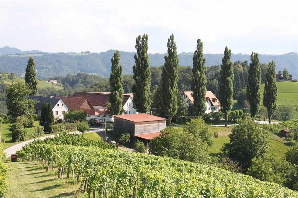 Buschenschank Strablegg-Leitner - Impression #1 | © Weingut Strablegg-Leitner