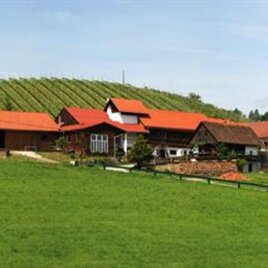 Buschenschank Strohmeier vgl. Teichbauer | © Weingut Strohmeier vlg. Teichbauer