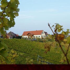 Weingut Stromeier Trobi | © Weingut Strohmeier Trobi