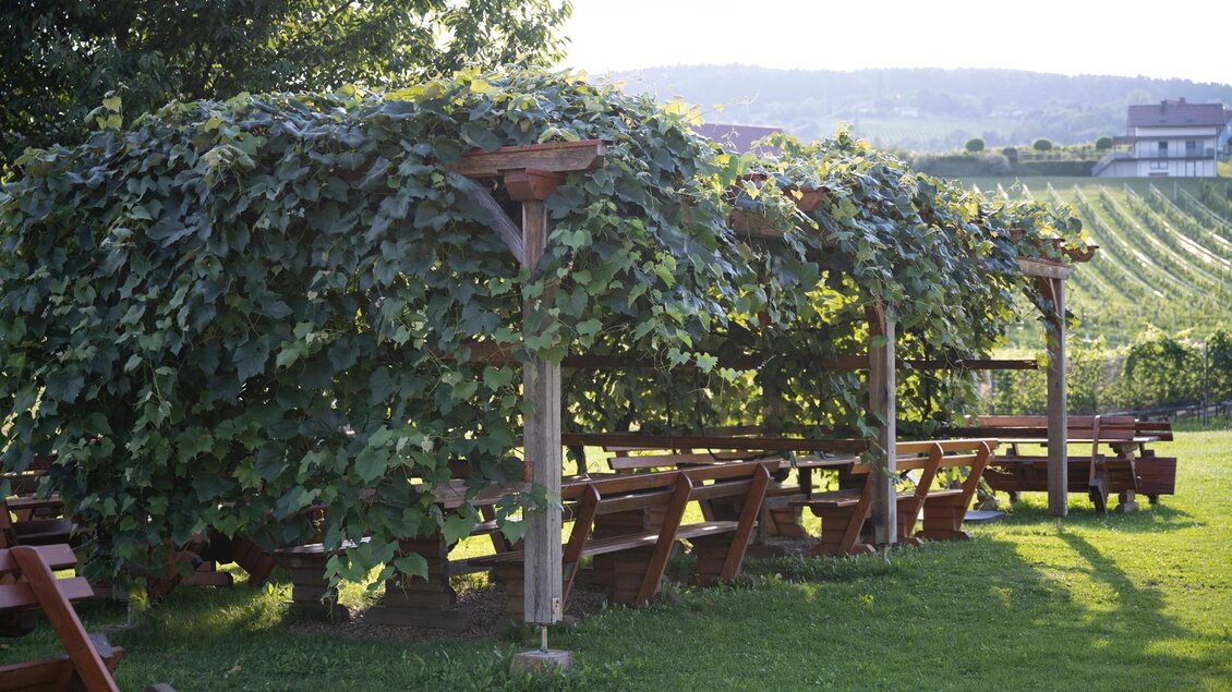 Eine gemütliche Gartenlandschaft mit Holzbänken und Tischunder Weinreben. Im Hintergrund sind sanfte Hügel und Weinberge sichtbar. | © TV Südsteiermark - Dominik Feibel
