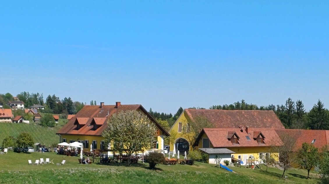 Eine idyllische Landschaft mit mehreren gelben Gebäuden und roten Dächern. Im Vordergrund gibt es eine grüne Wiese und kahle Bäume unter klarem blauem Himmel. | © TV Südsteiermark - Irene Löschnig