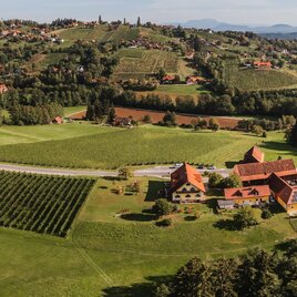 Eine malerische Landschaft mit ausgedehnten Wiesen und Weinbergen. Im Vordergrund sieht man ein großes Bauernhaus mit roten Dächern. | © Familie Bayr