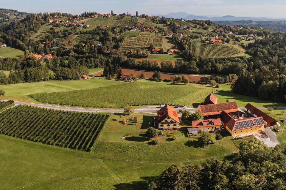 Buschenschank Trapl - Impression #1 | © Familie Bayr
