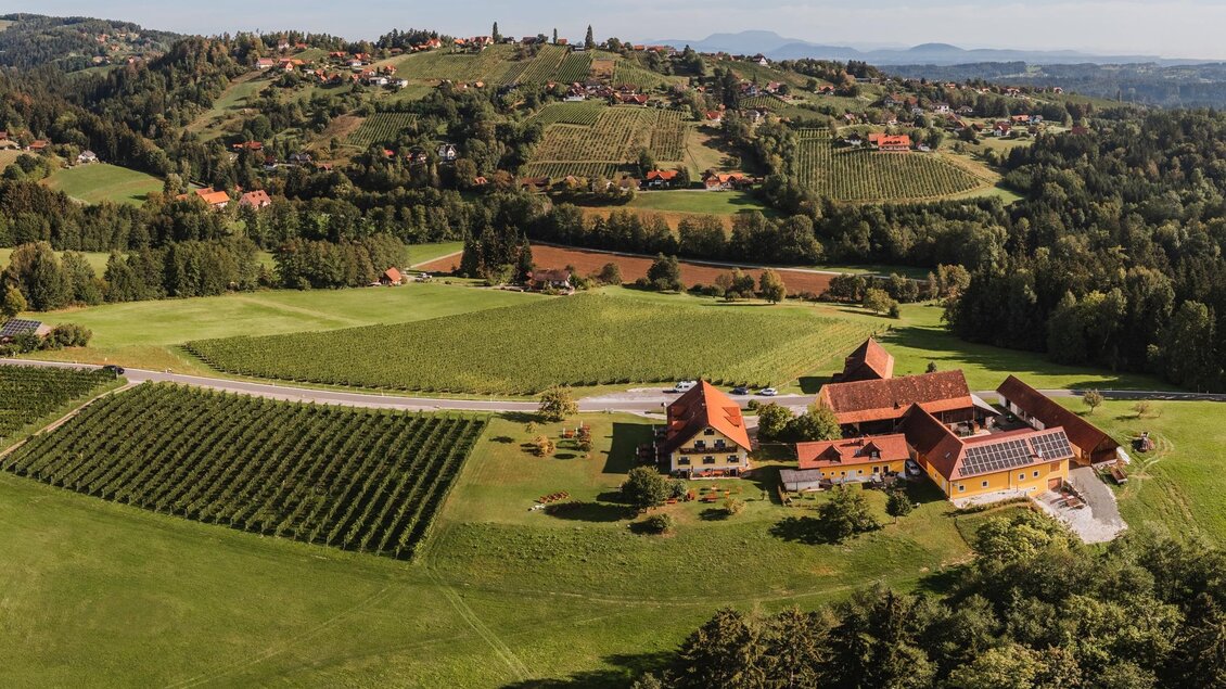 Eine malerische Landschaft mit ausgedehnten Wiesen und Weinbergen. Im Vordergrund sieht man ein großes Bauernhaus mit roten Dächern. | © Familie Bayr