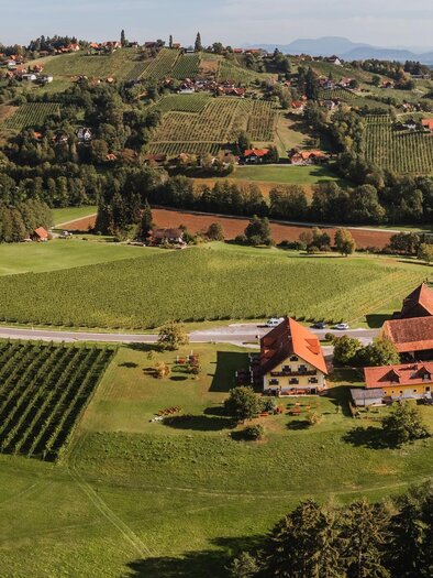Eine malerische Landschaft mit ausgedehnten Wiesen und Weinbergen. Im Vordergrund sieht man ein großes Bauernhaus mit roten Dächern. | © Familie Bayr