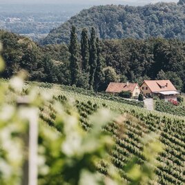 Weingut Trummer in Spielfeld | © Heldentheater