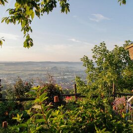 Buschenschank Postl_Aussicht_Oststeiermark | © Tourismusverband Oststeiermark