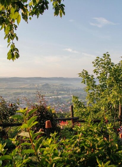 Buschenschank Postl_Aussicht_Oststeiermark | Nicole Friesenbichler | © Tourismusverband Oststeiermark