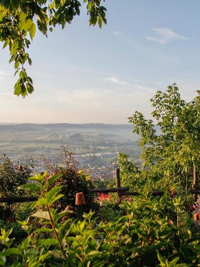 Buschenschank Postl_Aussicht_Oststeiermark | © Tourismusverband Oststeiermark