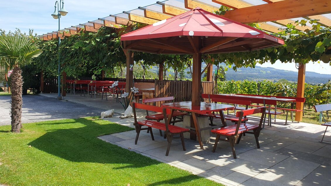 Eine einladende Terrasse mit roten Tischen und Stühlen unter einem Pavillon. Über den Tischen wachsen Weinreben, umgeben von grünem Gras. | © Buschenschank Ziagls Laube