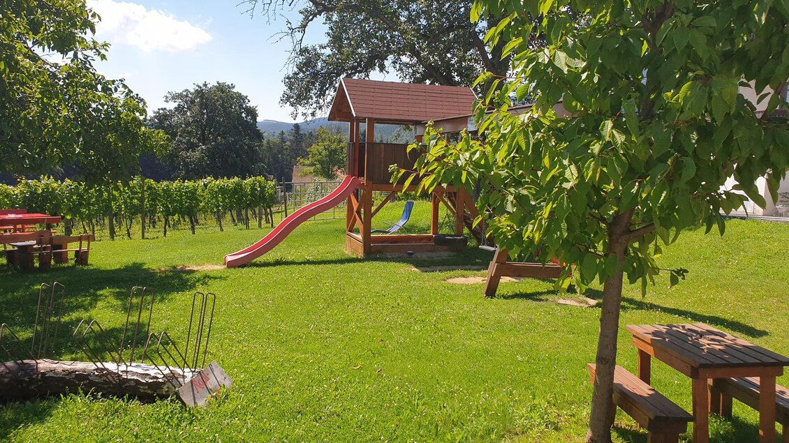 Ein schöner Garten mit einem Spielplatz und einer Rutsche. Im Hintergrund sind Weinstöcke und Bäume zu sehen. | © Buschenschank Ziagls Laube