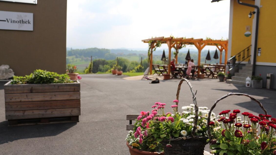 Weingut & Buschenschank Zweytick Außenanlage | © Weingut & Buschenschank Zweytick | Fam. Zweytick