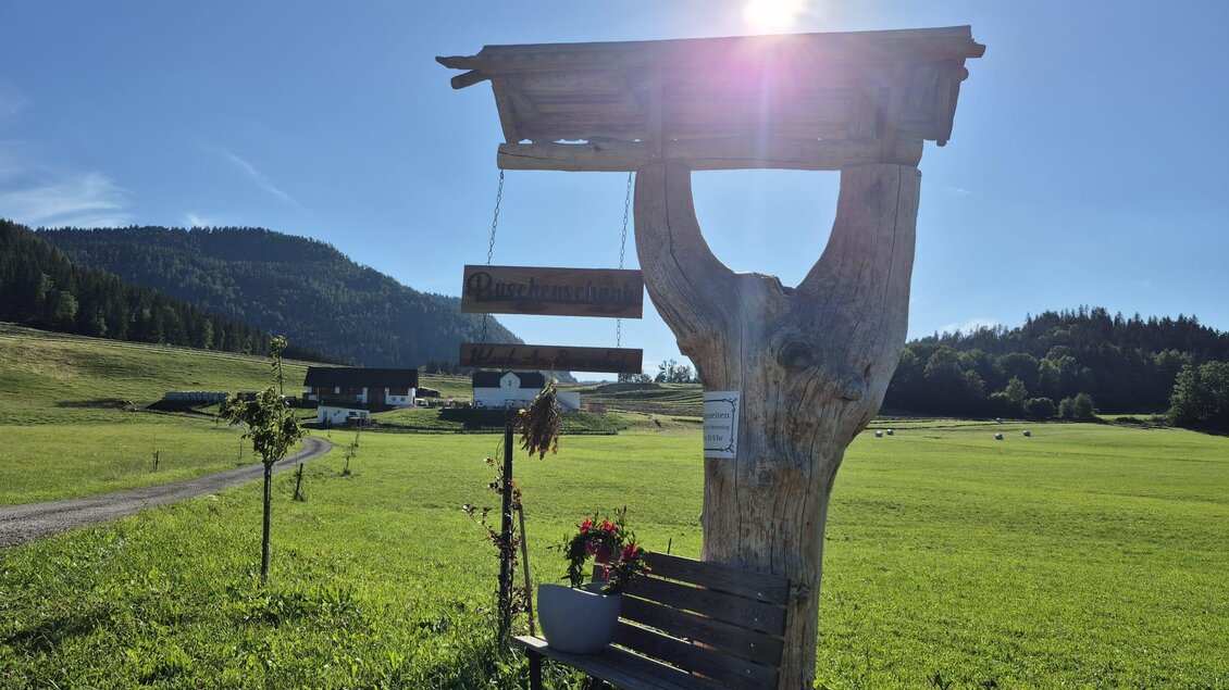 Ein Holzschild steht in einer grünen Wiese, umgeben von Bäumen und Hügeln. Die Sonne scheint hell und die Landschaft wirkt ruhig und einladend. | © TV Hochsteiermark