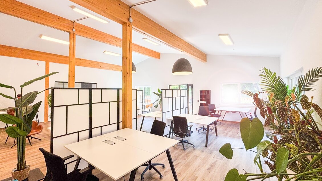 Ein modernes Büro mit Holzverkleidung und großen Fenstern. Es gibt mehrere Arbeitsplätze und viele Pflanzen, die eine angenehme Atmosphäre schaffen. | © Coworking Space