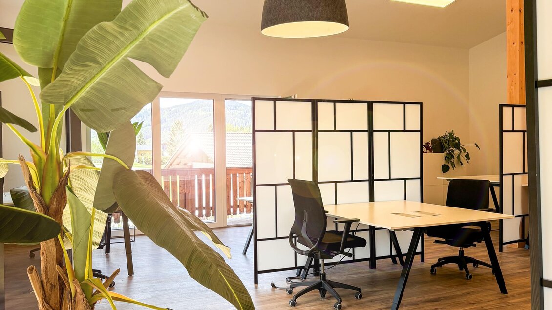 Ein modernes Büro mit einer Pflanze im Vordergrund und Arbeitsplätzen dahinter. Das Licht ist hell und der Raum hat eine freundliche Atmosphäre. | © Coworking Space