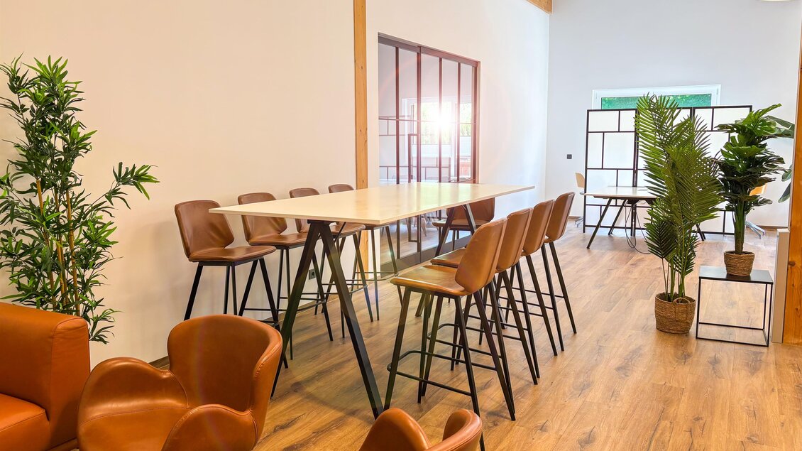 Ein modernes Büro mit einem langen Tisch und eleganten Stühlen. Es gibt einige Pflanzen, die eine freundliche Atmosphäre schaffen. | © Coworking Space