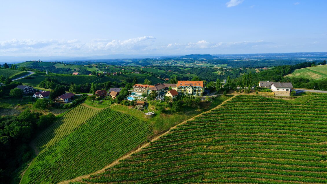 Eine malerische Weinlandschaft mit sanften Hügeln und grünen Reben. Im Hintergrund sind einige Häuser und ein klarer Himmel zu sehen. | © A.M.J. Hotel KG