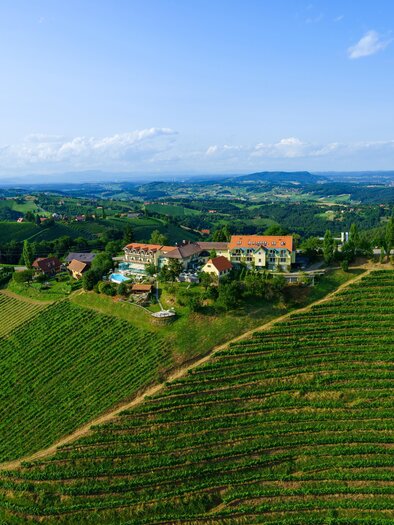 Eine malerische Weinlandschaft mit sanften Hügeln und grünen Reben. Im Hintergrund sind einige Häuser und ein klarer Himmel zu sehen. | © A.M.J. Hotel KG