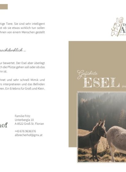 flyerneu | Albrecherhof Fritz Elke
