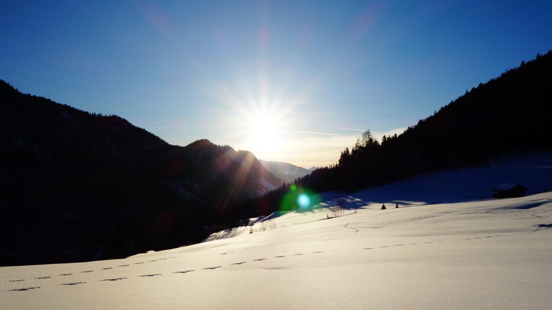 Wanderweg | © Andrea Pertcht