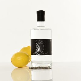 DeVin Gin & Bitter - Lisa Bauer | © Destille Berlin