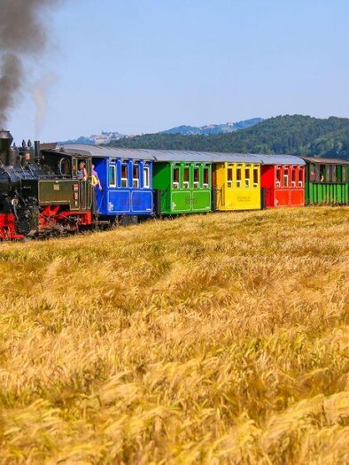 Bunte Zugsgarnitur dampft durch das Schilcherland | © Karl-Heinz Ferk