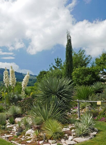 The desert garden_garden1_eastern Styria | © Der Wüstengarten