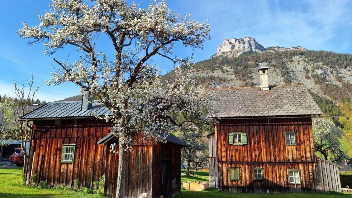 Zwei Holzhäuser umgeben von grünen Wiesen und einem blühenden Baum. Im Hintergrund ist ein malerischer Berg zu sehen. | © Ernst Kadar