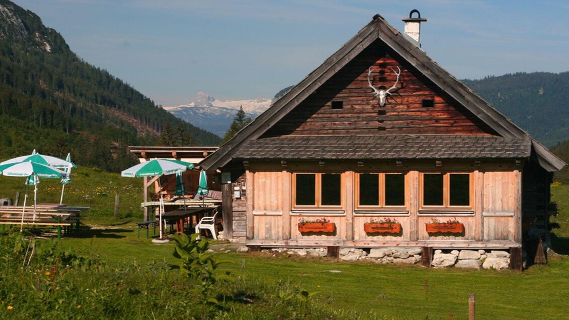 Eine schöne Berghütte umgeben von grünen Wiesen und Bergen. Auf der Terrasse stehen Sonnenschirme für Entspannung im Freien. | © Hotel DER HECHL