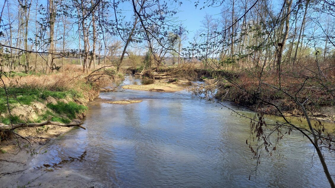 Ein ruhiger Fluss fließt durch eine grüne Landschaft. Bäume und Sträucher umgeben das Wasser unter einem blauen Himmel. | © Sonja Brünner