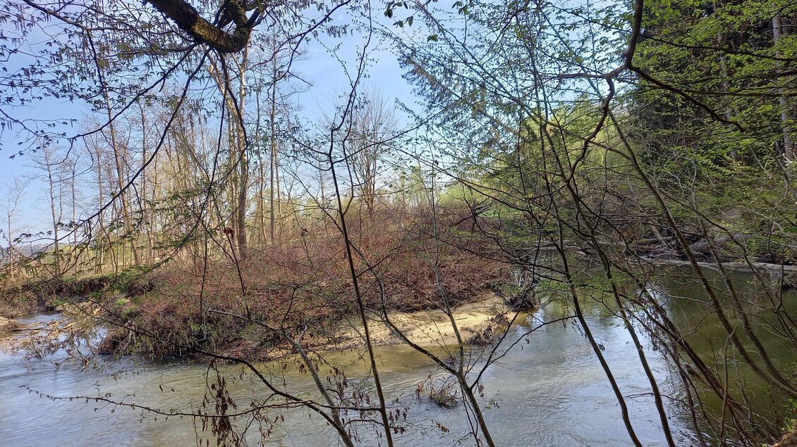Ein ruhiger Fluss umgeben von Bäumen und Sträuchern. Das Wasser spiegelt die grüne Umgebung wider. | © Sonja Brünner