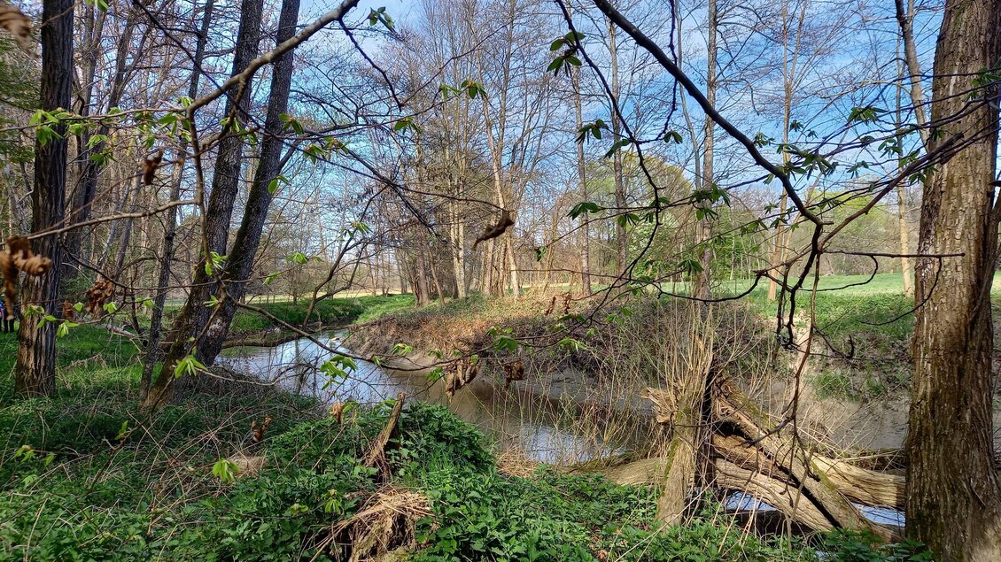 Ein ruhiger Fluss umgeben von Bäumen und frischem Grün. Der Himmel ist klar und es scheint ein schöner Tag zu sein. | © Sonja Brünner