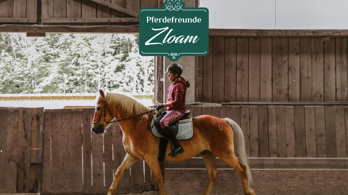 Ein Mädchen sitzt auf einem Pferd und reitet in einer Reithalle. Im Hintergrund sind Holzverkleidungen und ein Fenster mit Blick auf die Natur zu sehen. | © www.zloam.at
